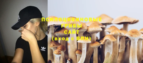 дурь Абинск