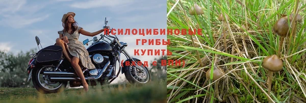 дживик Абдулино