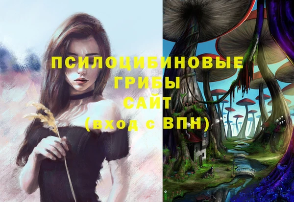 дурь Абинск